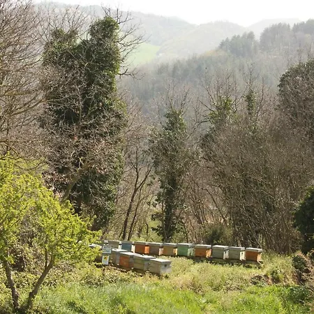 Il Nostro Sogno Bed and breakfast
